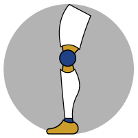 Prosthesis icon